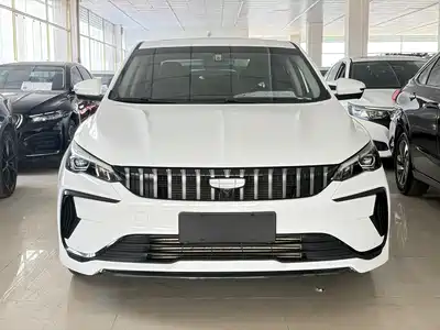 Geely Binrui 2023