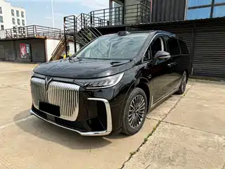 Voyah Auto Dreamer 2025