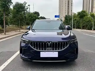 Voyah Auto FREE 2022