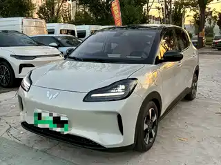 Wuling Motors Wuling Binguo PLUS 2024