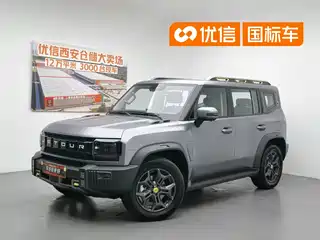 Jetour Shanhai T2 2024