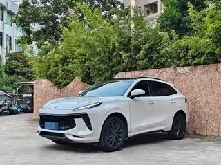 Dongfeng Fengxing T5 EVO 2021