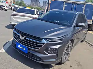 Wuling Motors Wuling Victory 2020
