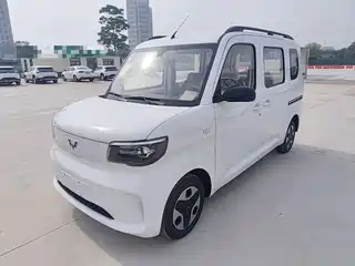Wuling Motors Zhiguang NEV 2025