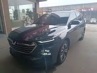 Wuling Motors Wuling Victory 2020