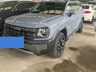 Haval Cool Dog 2022