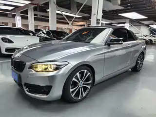 BMW 2 Series (Import) 2019