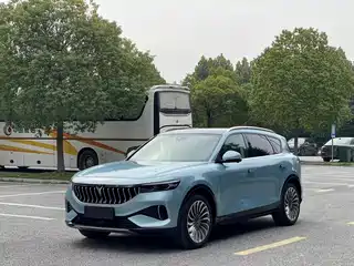 Voyah Auto FREE 2021