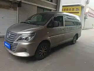Dongfeng Fengxing Lingzhi 2020