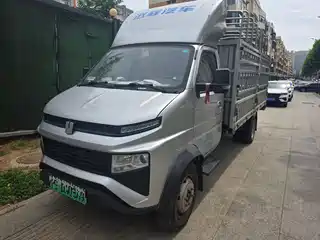 Yuan Cheng Farizon FR 2023