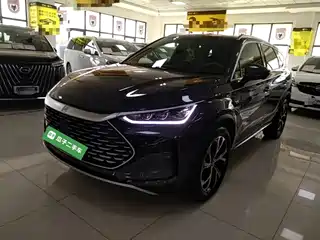 BYD Tang New Energy 2025