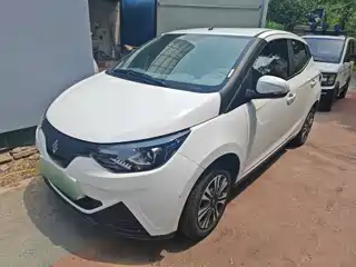 JMCG New Energy Little Kirin 2024