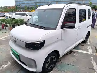 Wuling Motors Zhiguang NEV 2025