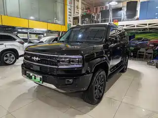Fang Cheng Bao Leopard 5 2025