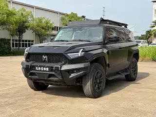Mengshi 917 2023