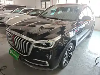 Hongqi HS7 2020