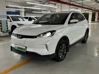 Weltmeister EX5 2018