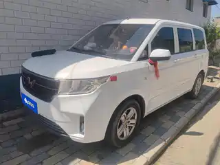 Wuling Motors Wuling Hongguang PLUS 2020
