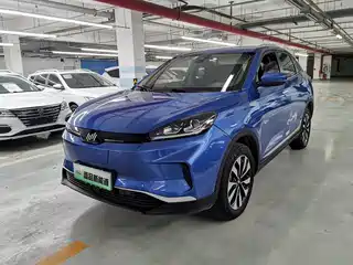 Weltmeister EX5 2019
