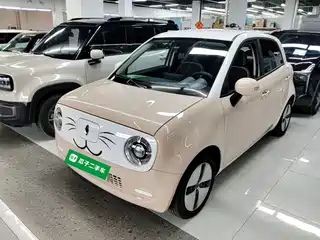 Ora Black Cat 2021