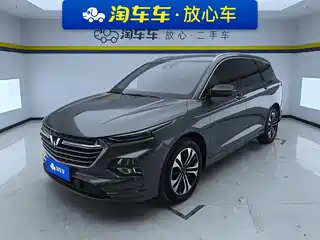 Wuling Motors Wuling Victory 2022