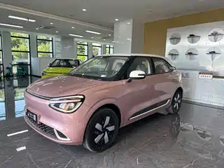 Dongfeng Yipai Nano 01 2024