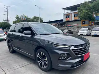 Wuling Motors Wuling Victory 2022