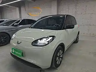 Wuling Motors Bingo 2024