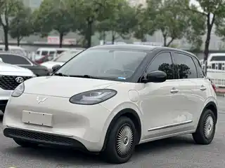 Wuling Motors Bingo 2024