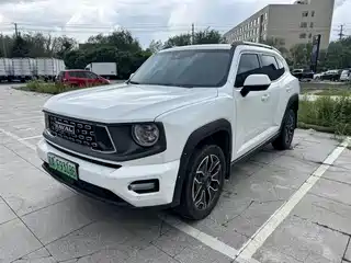 Haval Haval Second-Generation Big Dog New Energy 2024