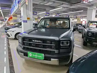 Haval Meng Long NEV 2025
