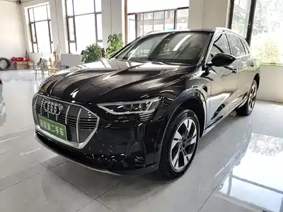 Audi e-tron (Import) 2020