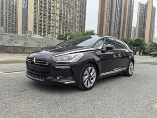 DS 5 2013