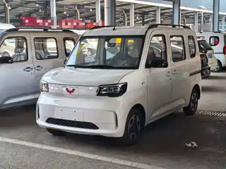 Wuling Motors Wuling Zhiguang NEV 2025