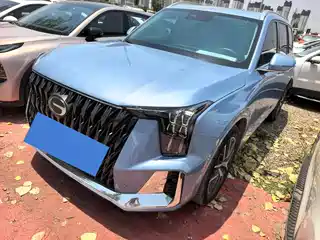 GAC Trumpchi GS8 2021