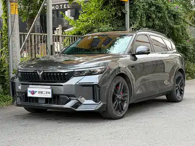 Voyah Auto FREE 2024
