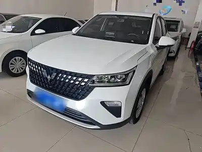 Wuling Motors Wuling Xingchi 2023