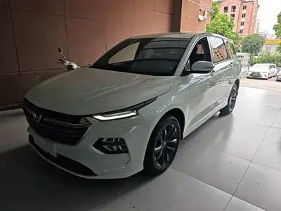 Wuling Motors Wuling Victory 2020