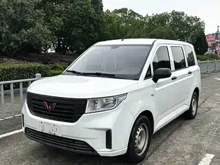 Wuling Motors Wuling Hongguang PLUS 2020