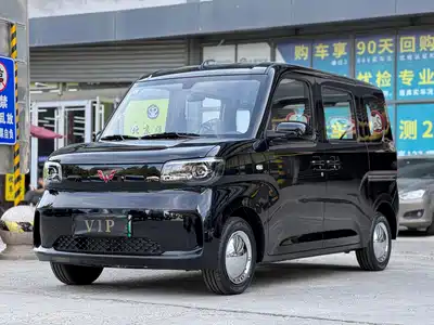 Wuling Motors Zhiguang NEV 2025