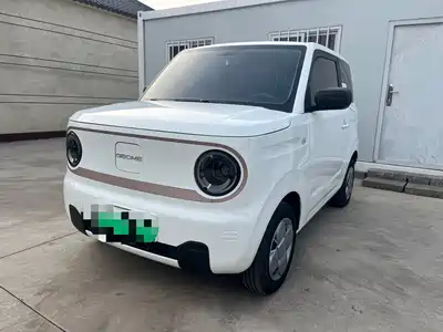 Geely Galaxy Panda 2024