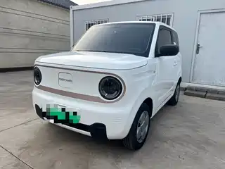 Geely Galaxy Panda 2024