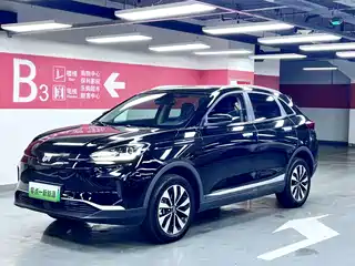 Weltmeister EX5 2018