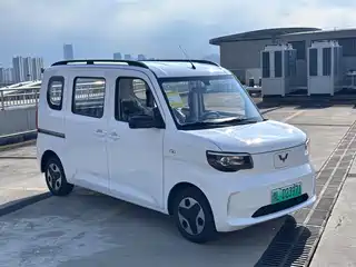 Wuling Motors Zhiguang NEV 2025