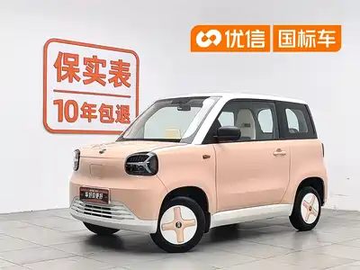 Zhido Rainbow 2024