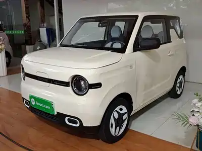 Geely Galaxy Panda 2025