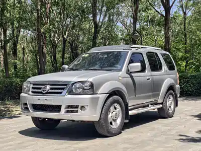 Dongfeng Odin 2010