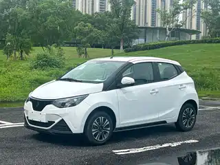 JMCG New Energy Little Kirin 2025