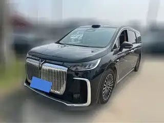 Voyah Auto Dreamer 2025