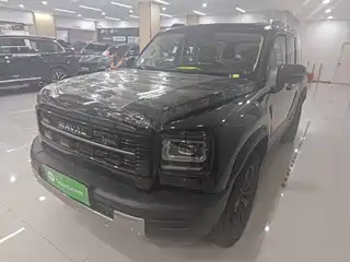 Haval Meng Long NEV 2025
